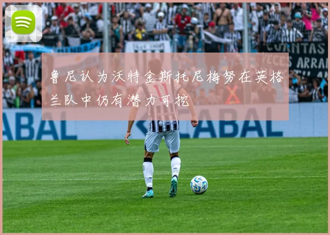 鲁尼认为沃特金斯托尼梅努在英格兰队中仍有潜力可挖