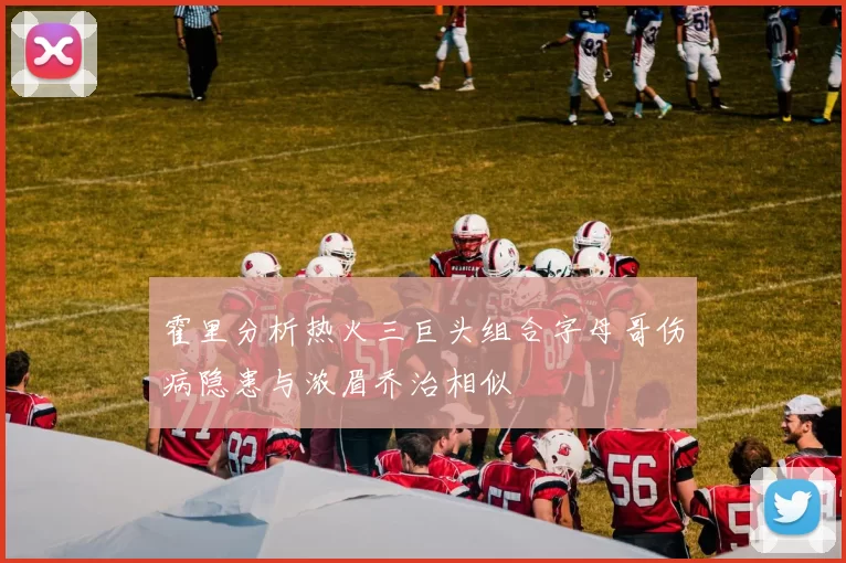 霍里分析热火三巨头组合字母哥伤病隐患与浓眉乔治相似